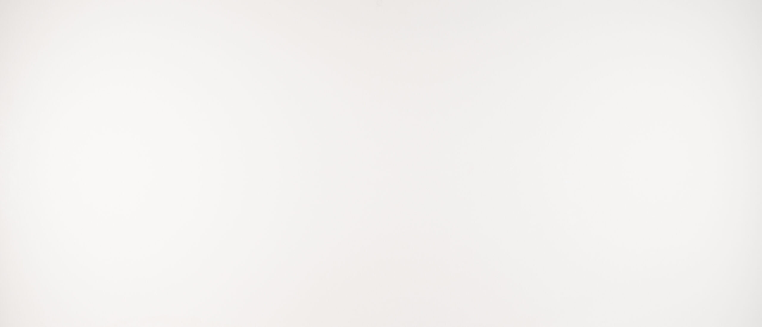 Arctic White 1 Arctic White