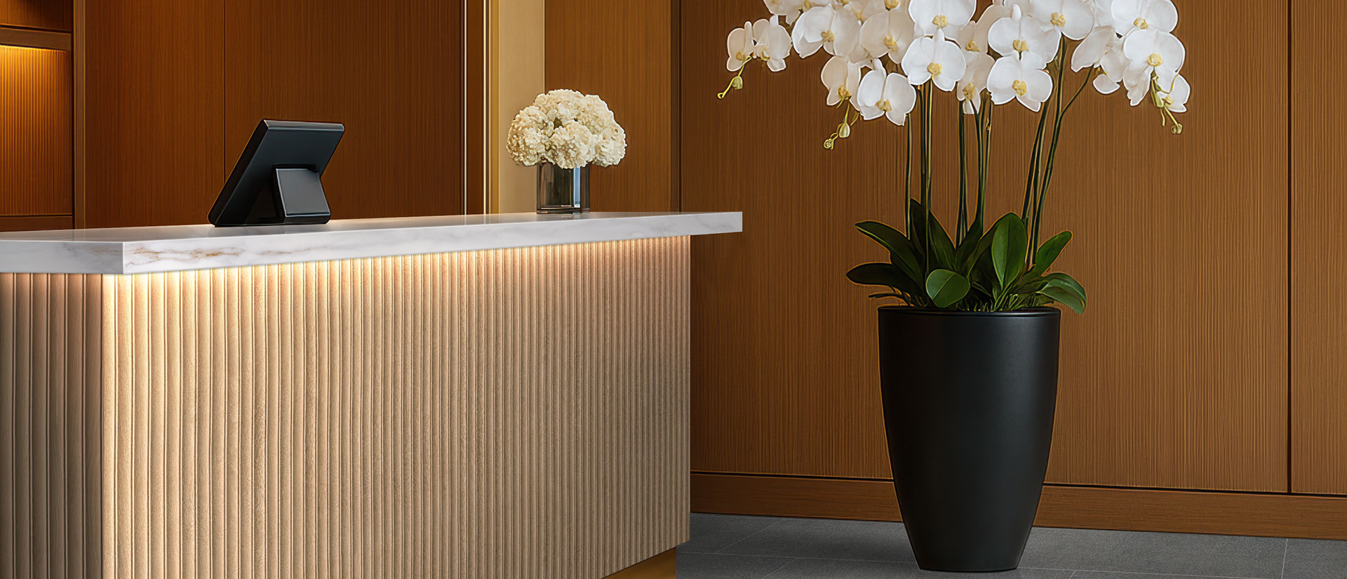 Calacatta Castana 4 Calacatta Castana - Image 4