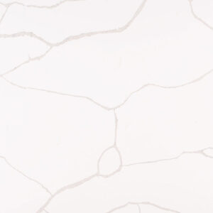 Calacatta Classique (Unbook-Match)